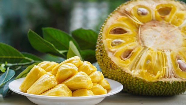 Promouvoir les exportations de fruit du jacquier vietnamien vers l'Australie hinh anh 1