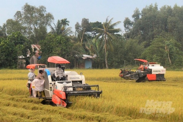 Kien Giang se concentre sur l'encouragement de l'agriculture hinh anh 1