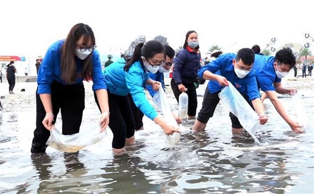 Quang Ninh lache 2,3 millions d'alevins de poisson dans la baie de Bai Tu Long hinh anh 2