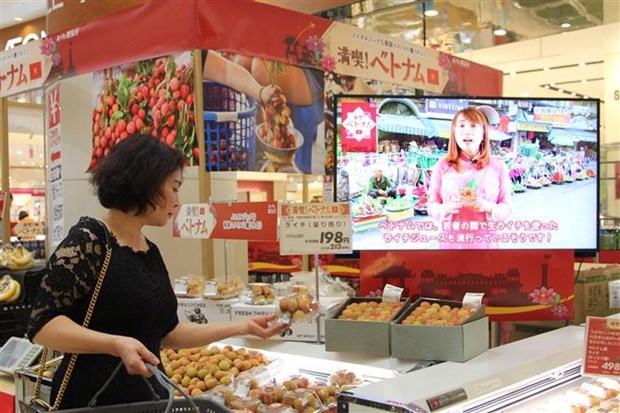 Ouverture d'une Semaine des produits vietnamiens au Japon hinh anh 2