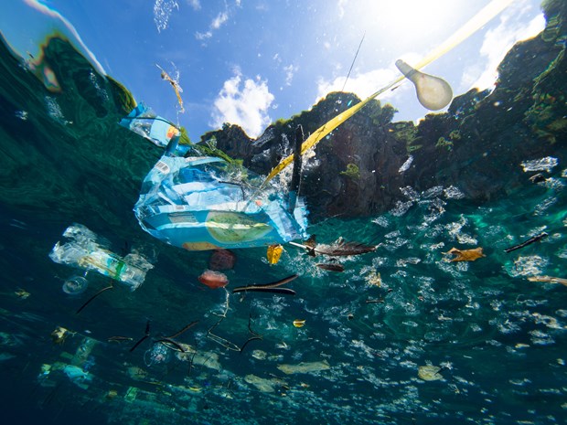 Pollution marine: Plus de plastique que de poisson dans l'ocean d’ici 2050 hinh anh 1