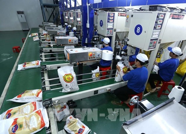 Le Vietnam cherche a stimuler ses exportations de riz premium hinh anh 1