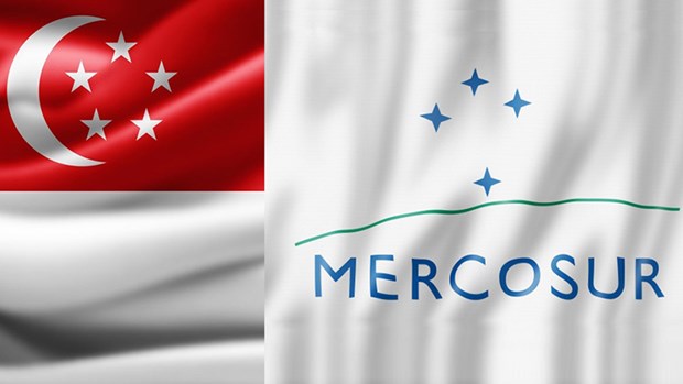 Le Mercosur annonce un accord de libre-echange avec Singapour hinh anh 1
