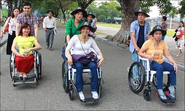 Promouvoir la participation des personnes handicapees dans les organes elus hinh anh 2
