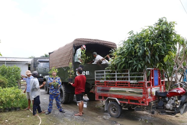 Ben Tre offre 15.000 plants pour verdir le district insulaire de Truong Sa hinh anh 2