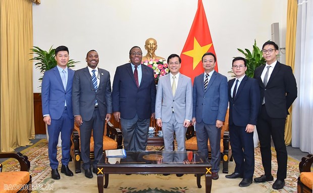 Haiti souhaite renforcer ses relations avec le Vietnam hinh anh 2