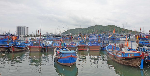Le secteur de surveillance des ressources halieutiques s'efforce de lutter contre la peche INN hinh anh 1