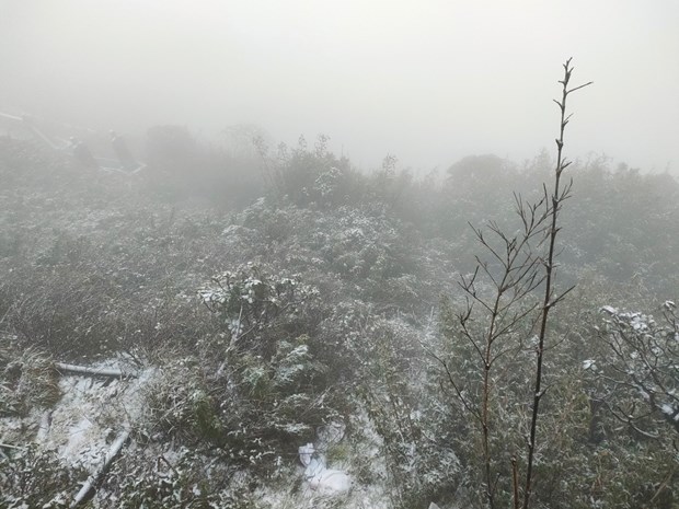 La neige fait son retour sur le mont Fansipan a Lao Cai hinh anh 2