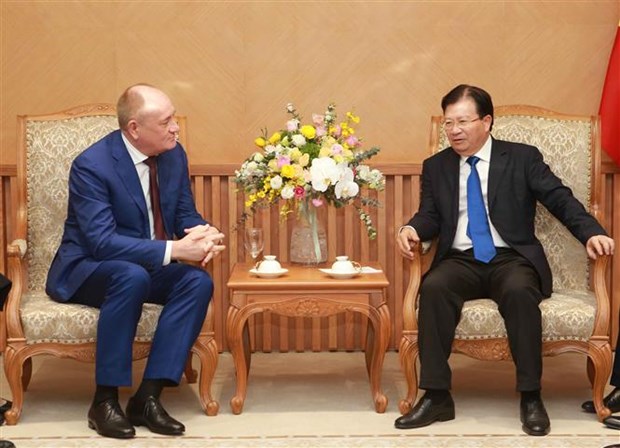 Le Vietnam favorise les projets du groupe russe Gazprom hinh anh 1