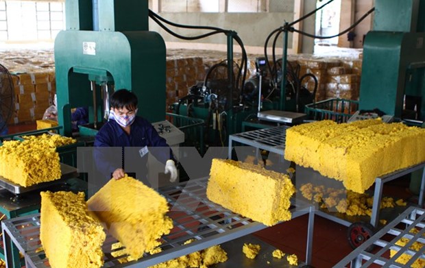 L'industrie du caoutchouc confrontee a la chute des prix a l'exportation hinh anh 1