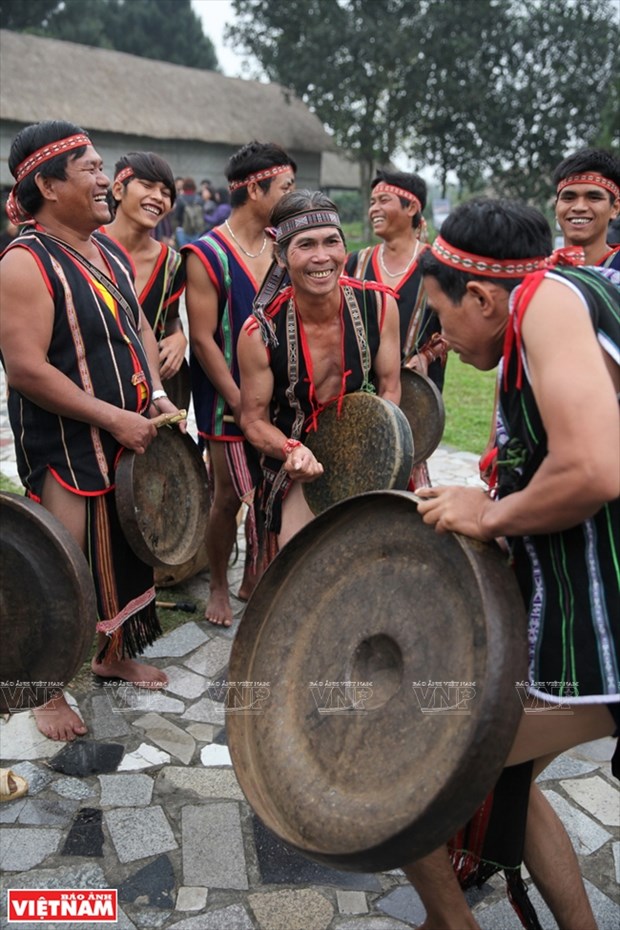 Des instruments de musique typiques des ethnies minoritaire du Tay Nguyen hinh anh 4