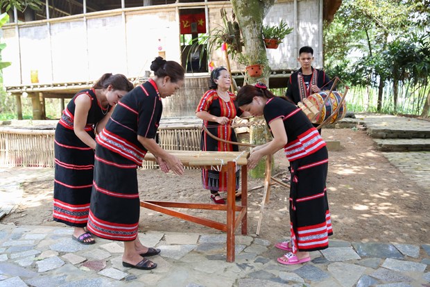 Des instruments de musique typiques des ethnies minoritaire du Tay Nguyen hinh anh 1