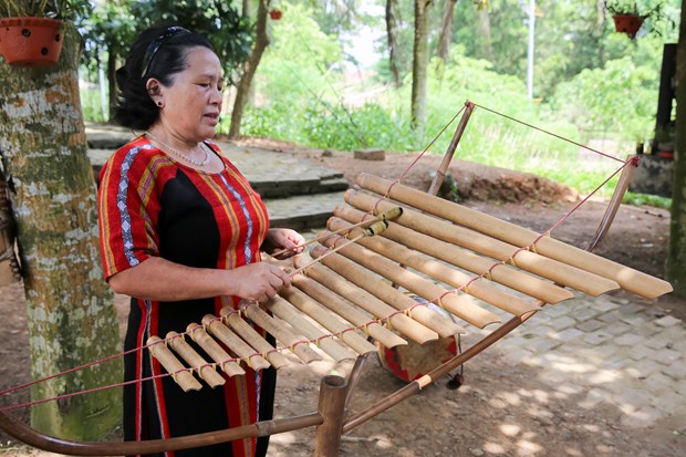 Des instruments de musique typiques des ethnies minoritaire du Tay Nguyen hinh anh 2
