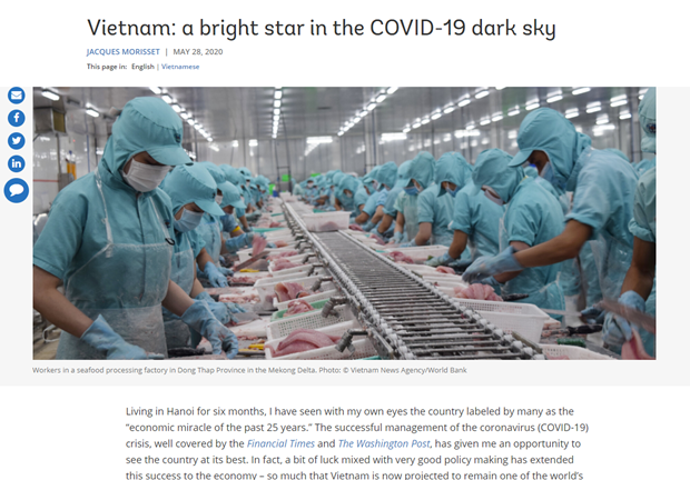 Banque mondiale: le Vietnam - une etoile brillante dans le ciel sombre du COVID-19 hinh anh 1