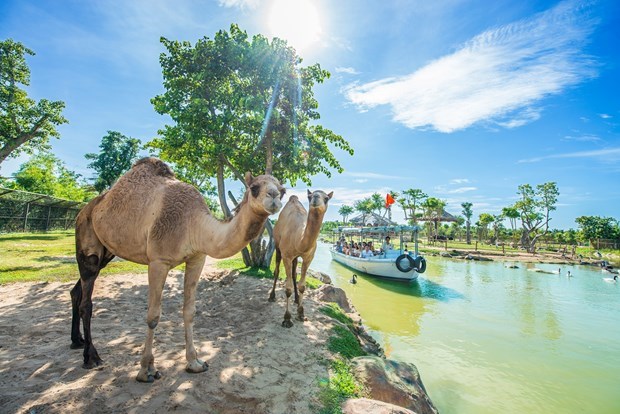 Le Vietnam cherche a promouvoir le tourisme interieur dans le contexte de crise sanitaire hinh anh 5