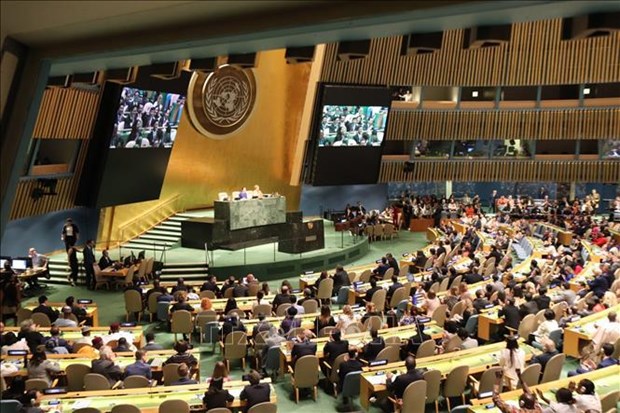 Empreintes du Vietnam au sein du Conseil de securite des Nations Unies hinh anh 3
