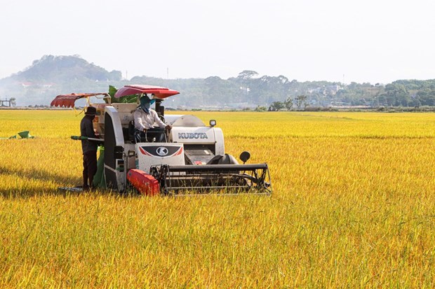 Motoriser la production agricole dans la province de Ba Ria - Vung Tau hinh anh 2