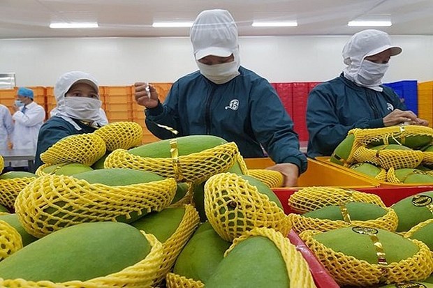 Les exportations de fruits et legumes devraient atteindre quatre milliards de dollars en 2021 hinh anh 1