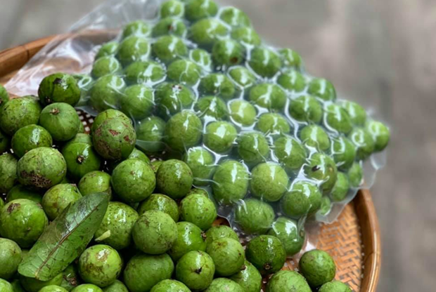 Vingt-deux tonnes de fruits de pancovier congeles sont exportes en Australie hinh anh 1