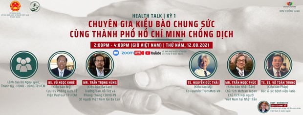 COVID-19: Des experts vietnamiens a l'etranger donnent des conseils a Ho Chi Minh-Ville hinh anh 1