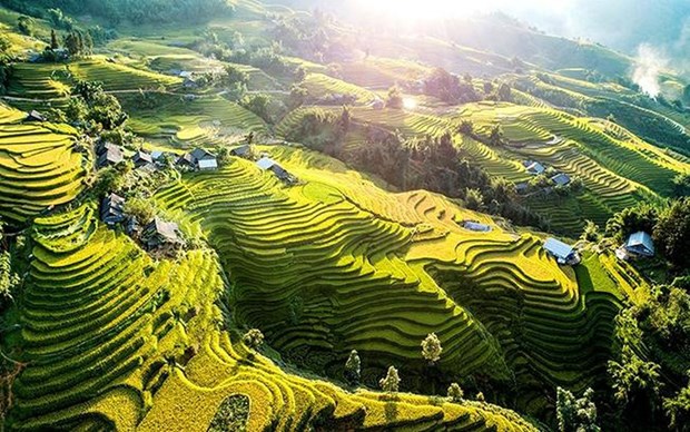 Trek virtuel dans les rizieres en terrasses de Hoang Su Phi hinh anh 2