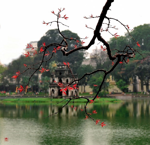 Le Vieux quartier de Hanoi vise a etre reconnu par l’UNESCO hinh anh 1