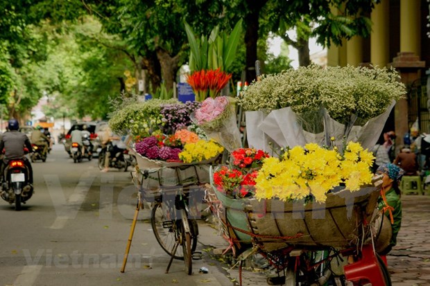 Hanoi et ses quatre saisons de fleurs hinh anh 1