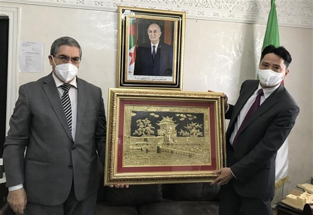 Le Vietnam et l'Algerie promeuvent leur cooperation economique et commerciale hinh anh 1