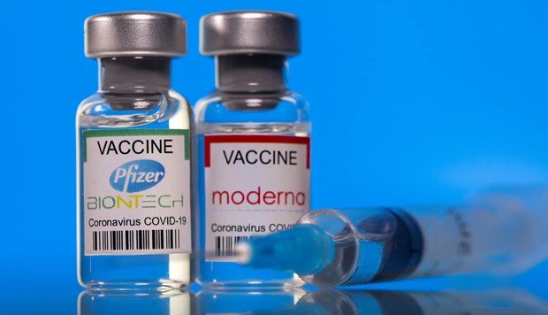 COVID-19 : Deux types de vaccins autorises pour les jeunes de 12 a 17 ans hinh anh 1