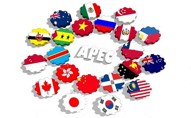 Le Vietnam s'attend a ce que l'APEC continue d'affirmer son role en tant que forum regional cle hinh anh 1