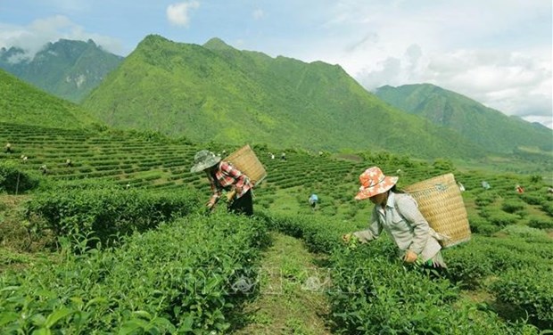 Le Vietnam s’efforce de reduire la pauvrete dans les zones montagneuses et reculees hinh anh 1