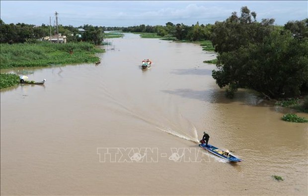 Le delta du Mekong fait face a une intrusion d'eau salee hinh anh 1