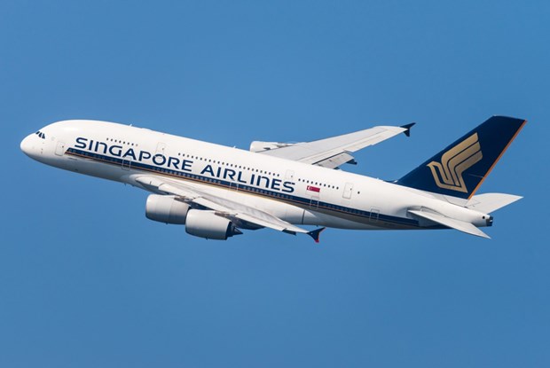 Singapore Airlines reprendra des vols vers Da Nang en mars prochain hinh anh 1