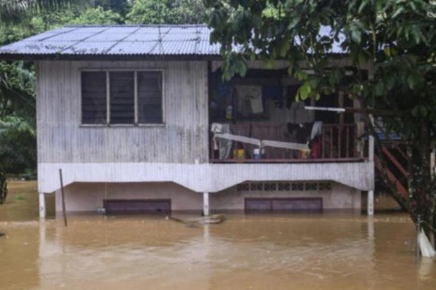 Inondations en Malaisie : environ 12.000 personnes evacuees hinh anh 1