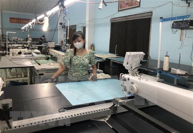 Pour promouvoir l’autonomisation des entreprises dirigees par les femmes au Vietnam hinh anh 1