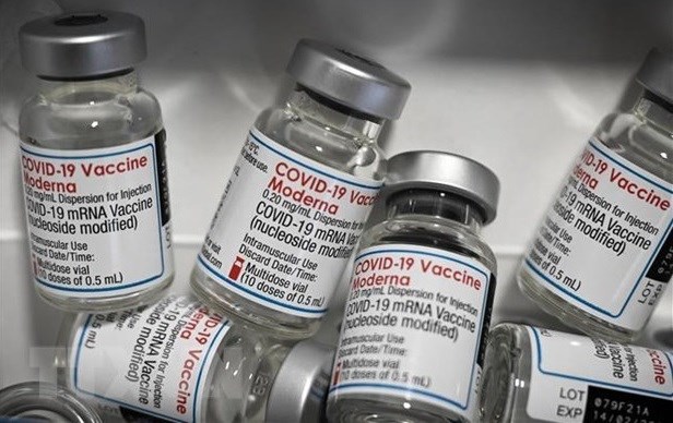 COVID-19 : reception de plus de 7,2 millions de doses du vaccin Moderna hinh anh 1