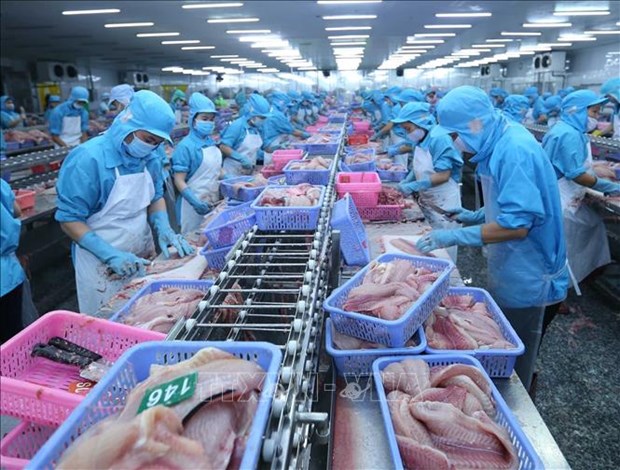 L'atlas des entreprises aquacoles vietnamiennes sera mis a jour hinh anh 1