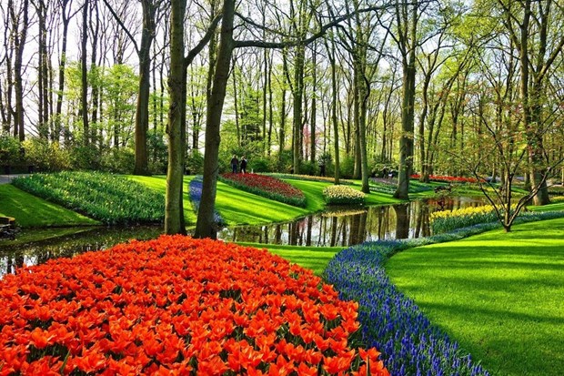 Da Lat parmi les plus beaux endroits du monde ou admirer les fleurs, selon Booking.com hinh anh 2
