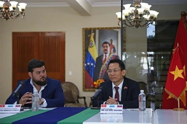 Renforcement de la cooperation decentralisee entre le Vietnam et le Venezuela hinh anh 1
