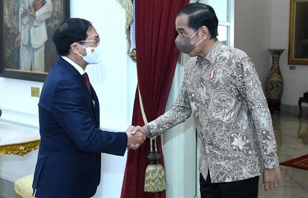 Le ministre des Affaires etrangeres Bui Thanh Son rencontre le president indonesien Joko Widodo hinh anh 1