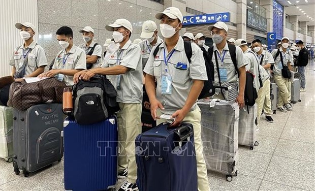 La Republique de Coree continue a accueillir des travailleurs vietnamiens hinh anh 1