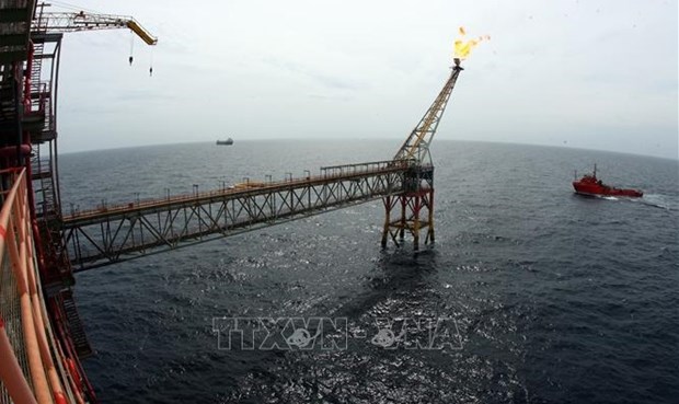 Amend the law to develop the oil and gas industry in the new context hinh anh 1