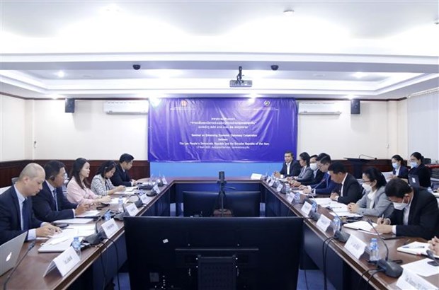 Le Vietnam et le Laos renforcent la cooperation dans la diplomatie economique hinh anh 1