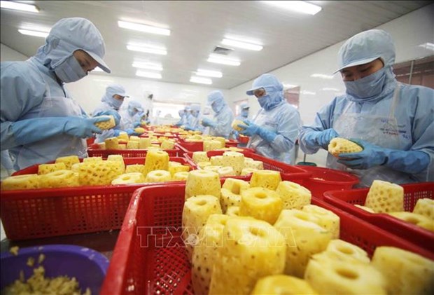 Presse malaisienne : les exportations de fruits vietnamiens en plein essor hinh anh 1