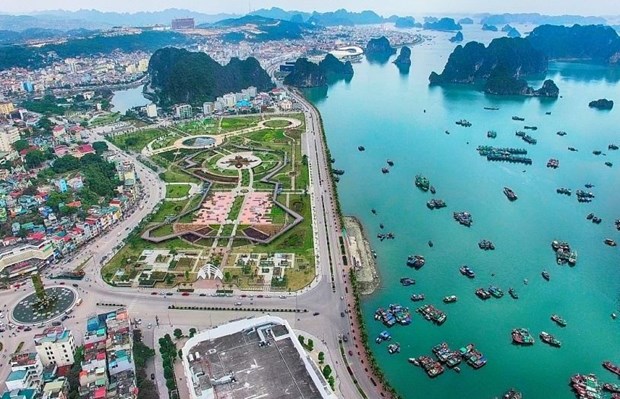Quang Ninh cherche a accelerer le developpement de l’aquaculture marine hinh anh 1