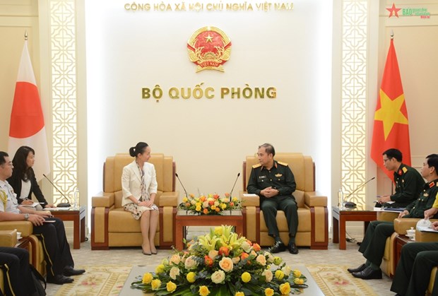 Le Vietnam et le Japon renforcent leur cooperation en matiere de maintien de la paix hinh anh 1