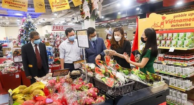 Pour approcher les produits vietnamiens aux consommateurs singapouriens hinh anh 1
