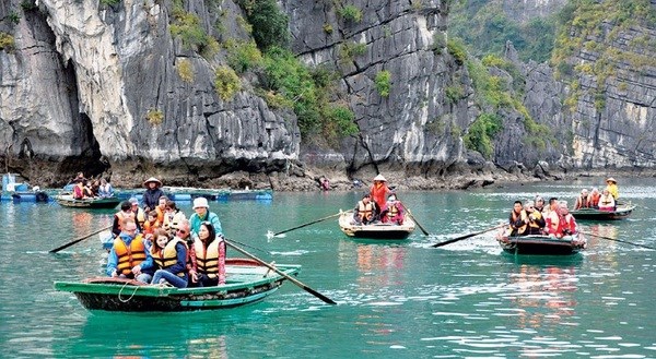 Forte hausse du nombre de touristes indiens au Vietnam en dix mois hinh anh 2
