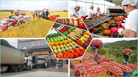 Les exportations de produits agricoles depassent les 49 milliards de dollars en 11 mois hinh anh 2