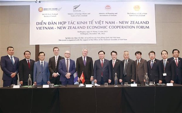 Forum sur la cooperation economique entre le Vietnam et la Nouvelle-Zelande hinh anh 2
